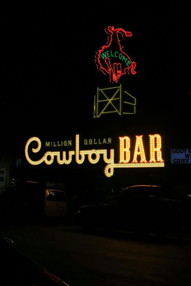 Joshua Tree Saloon – Neon Bar Night