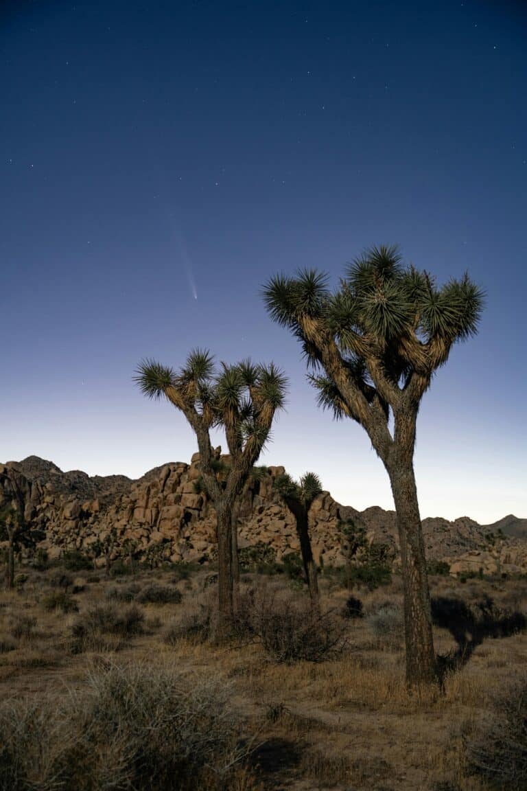 Pioneertown – Joshua Tree Desert Night