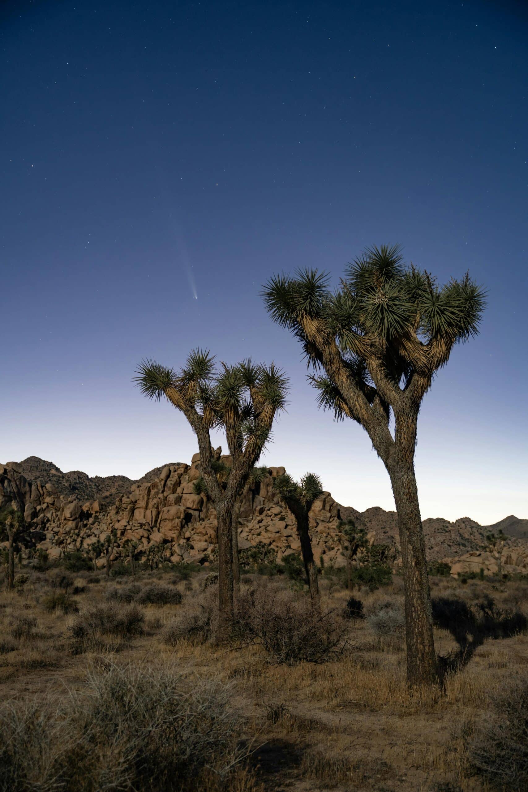 Pioneertown – Joshua Tree Desert Night